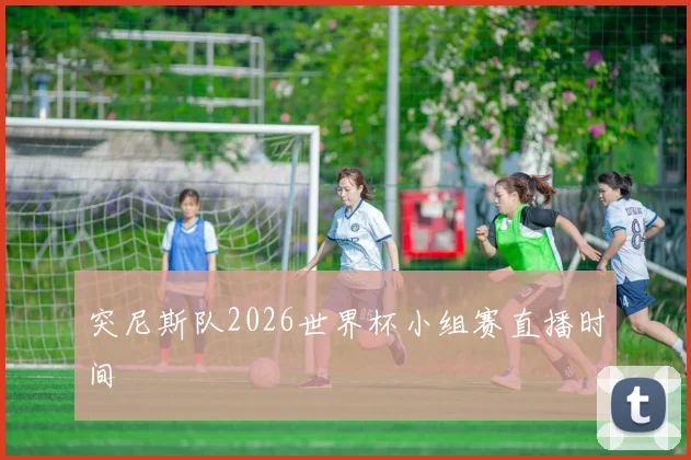 突尼斯队2026世界杯小组赛直播时间