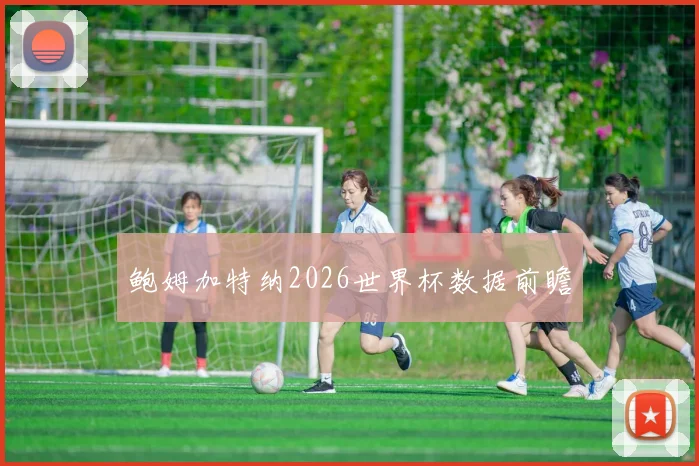 鲍姆加特纳2026世界杯数据前瞻