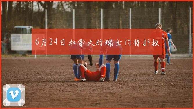 6月24日加拿大对瑞士门将扑救