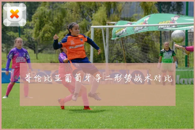 哥伦比亚葡萄牙争二形势战术对比