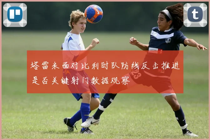 塔雷米面对比利时队防线反击推进是否关键射门数据观察