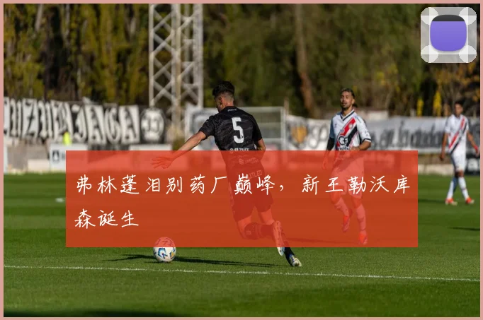 弗林蓬泪别药厂巅峰，新王勒沃库森诞生