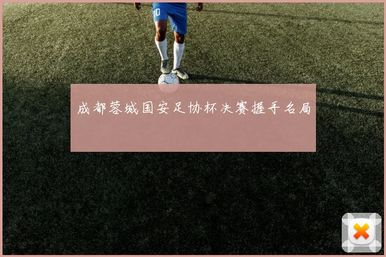 成都蓉城国安足协杯决赛握手名局
