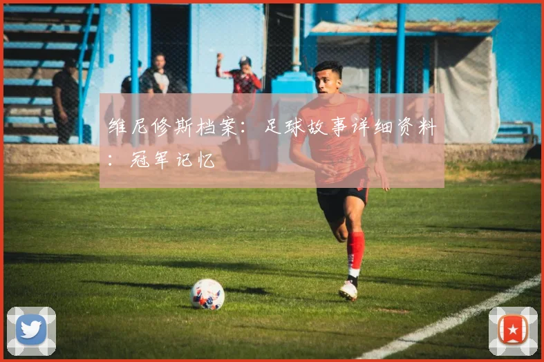 维尼修斯档案:足球故事详细资料:冠军记忆