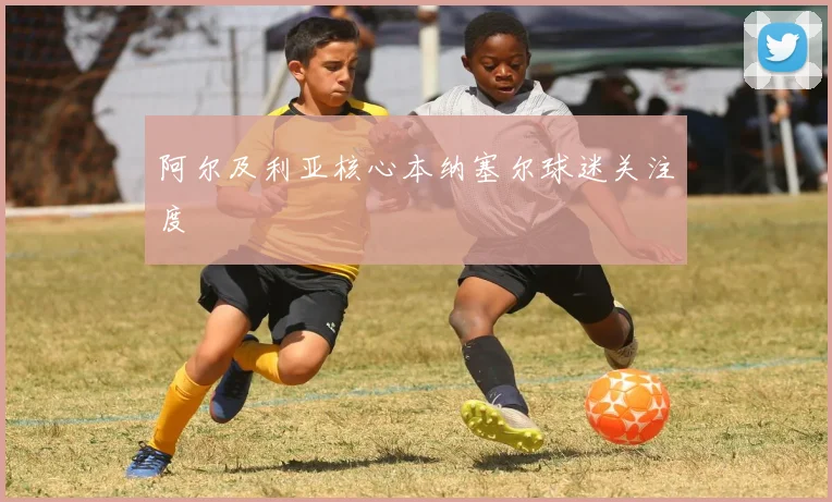阿尔及利亚核心本纳塞尔球迷关注度