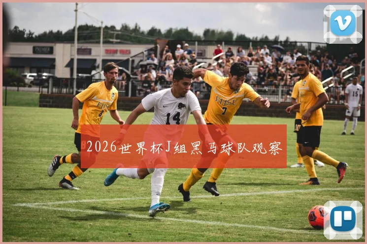 2026世界杯J组黑马球队观察